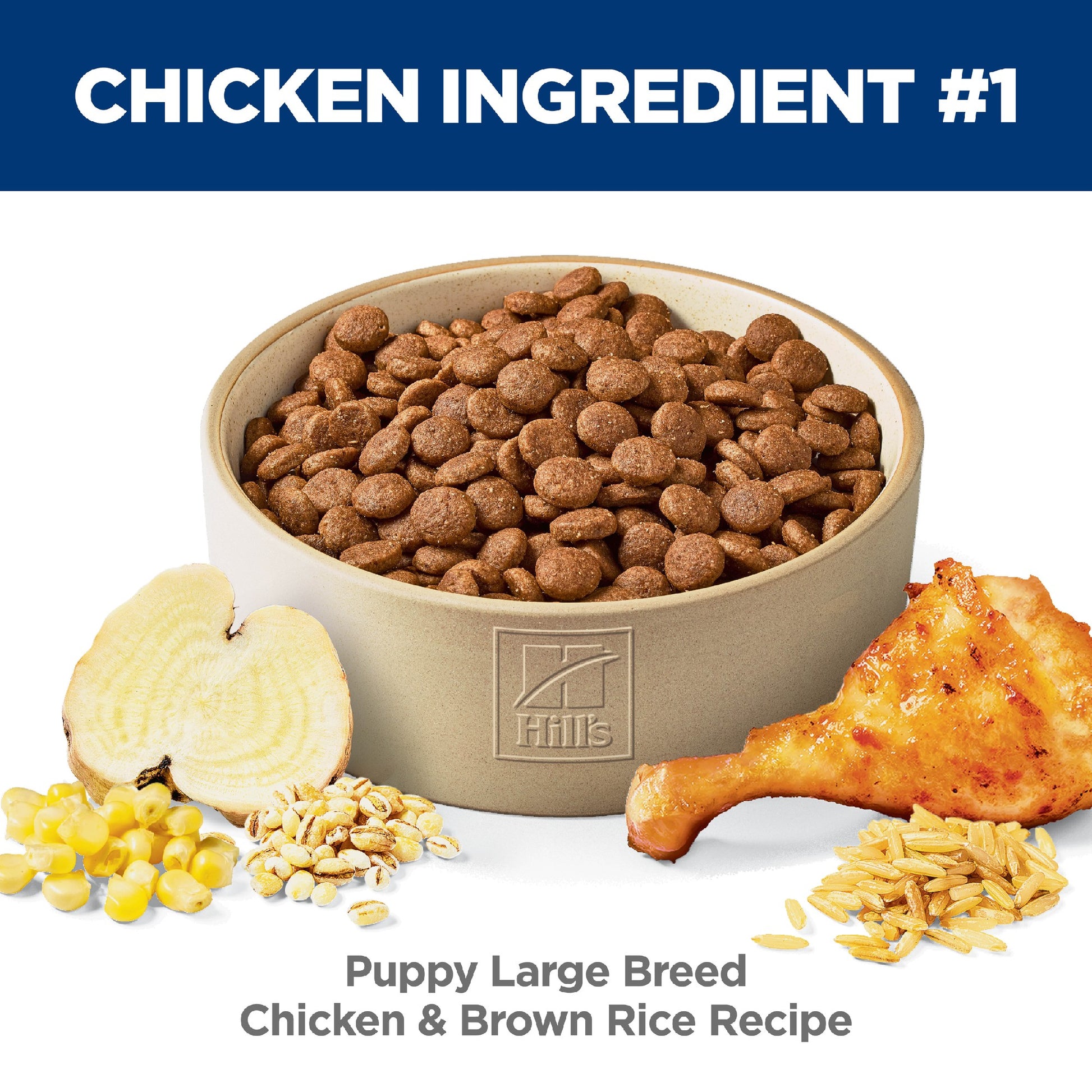 Science Diet Puppy Large Breed 12kg