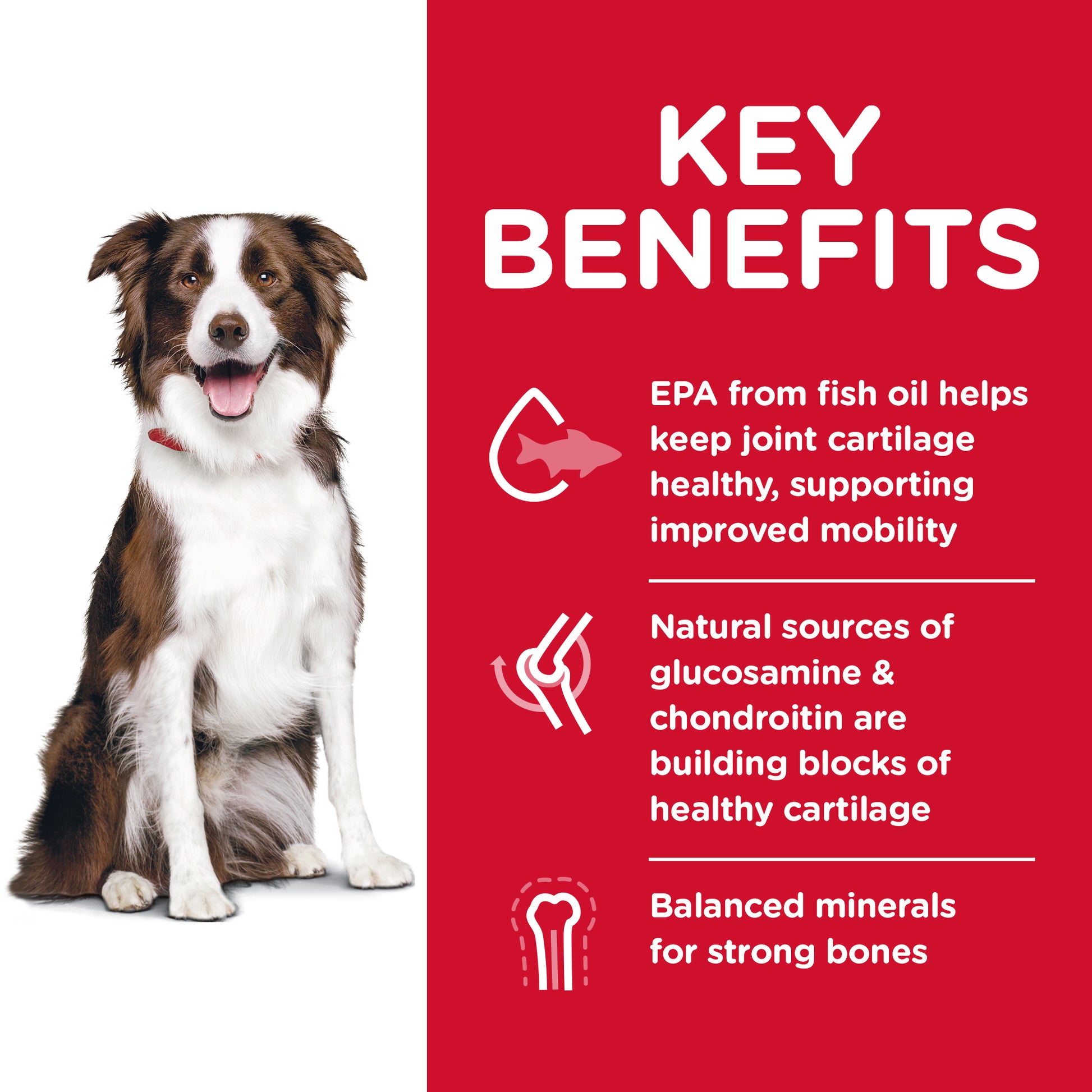 Science Diet Dog Healthy Mobility Large Breed 12kg