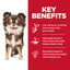 Science Diet Dog Sensitive Skin & Stomach Small & Mini Adult 1.81kg