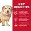 Science Diet Dog Senior Vitality Small & Mini 1.58kg 