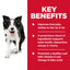 Science Diet Dog Senior Vitality 5.7kg