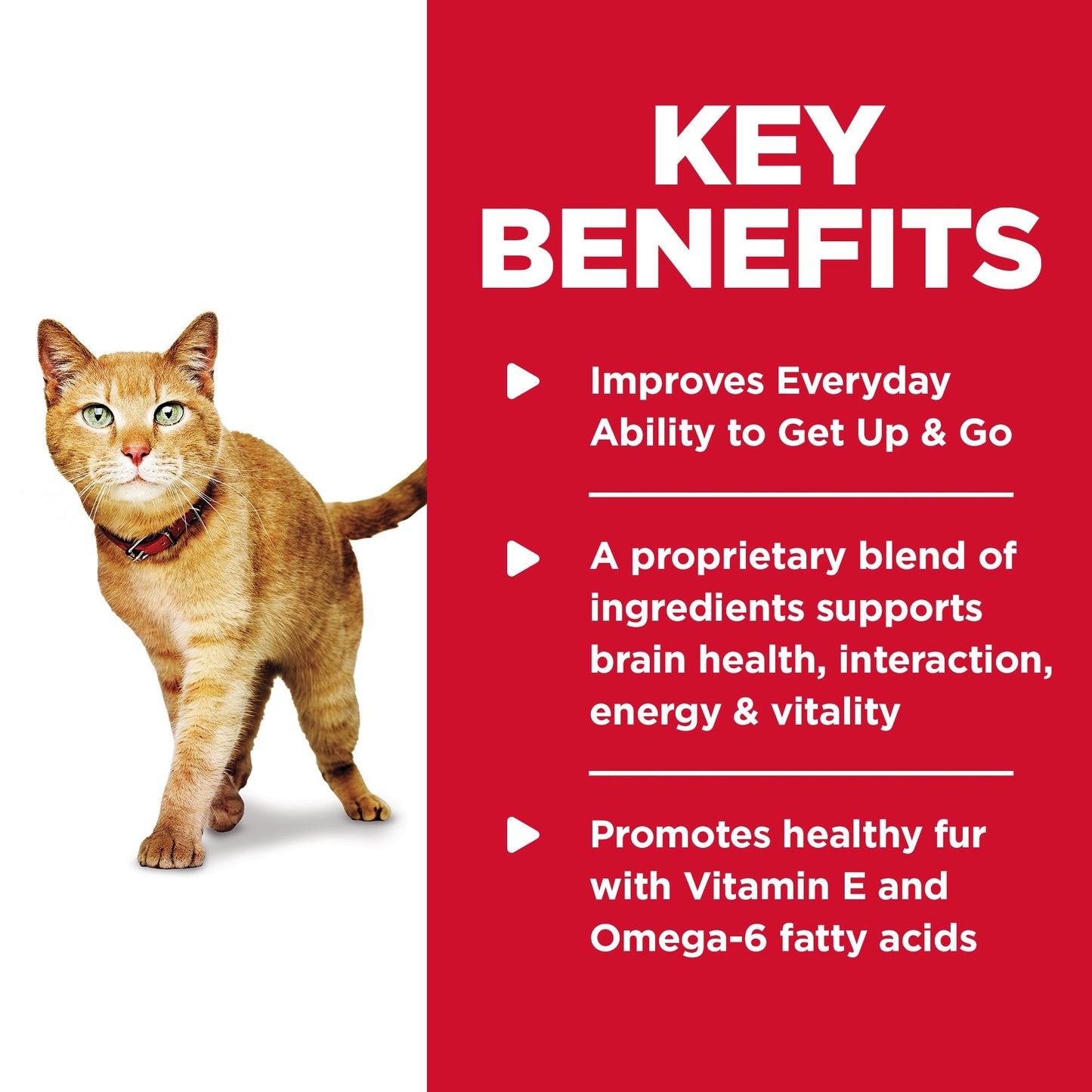 Science Diet Cat Adult 7+ Youthful Vitality 2.72kg