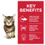 Science Diet Cat Kitten Chicken 85g Pouch