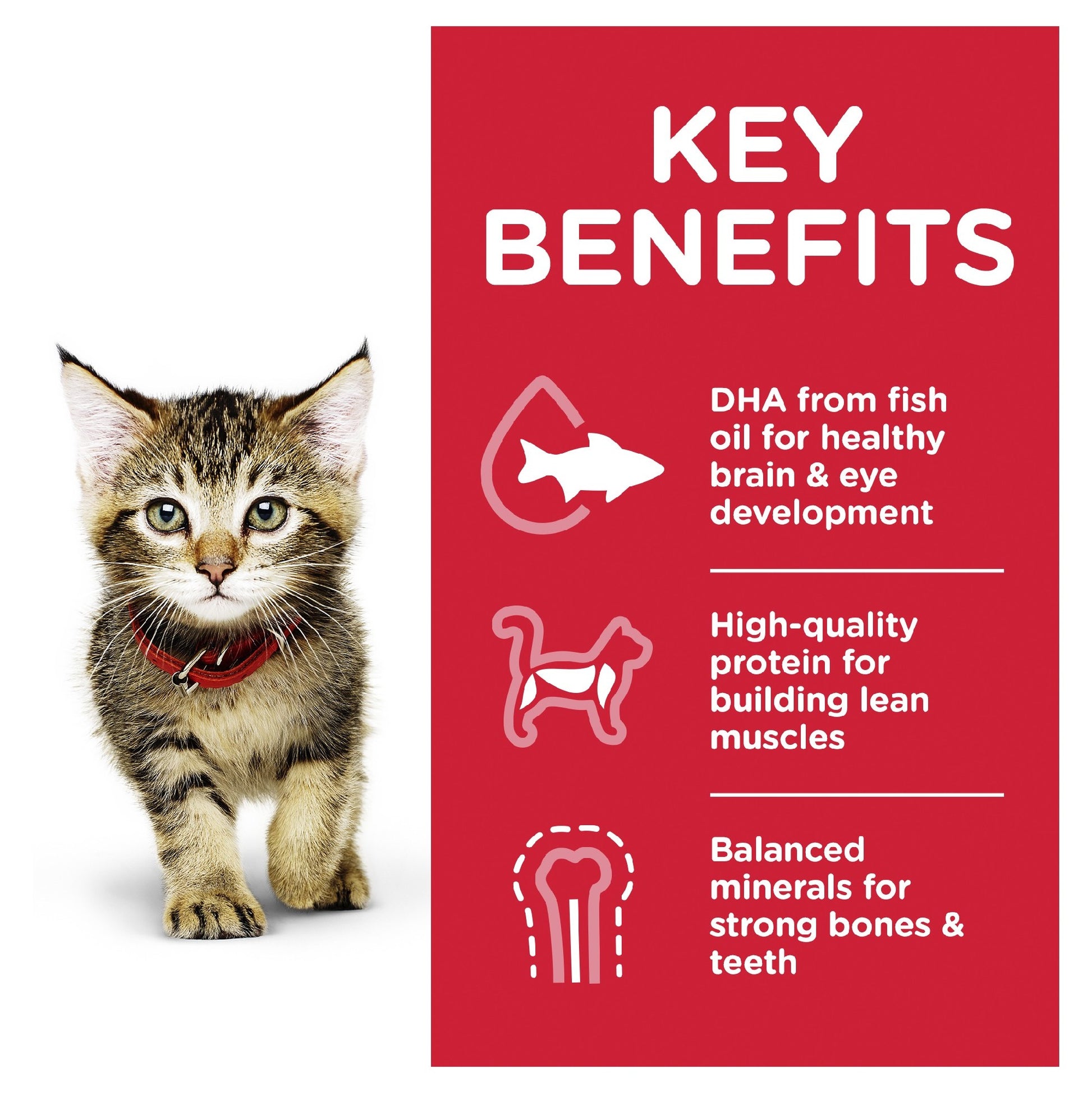 Science Diet Cat Kitten Chicken 85g Pouch