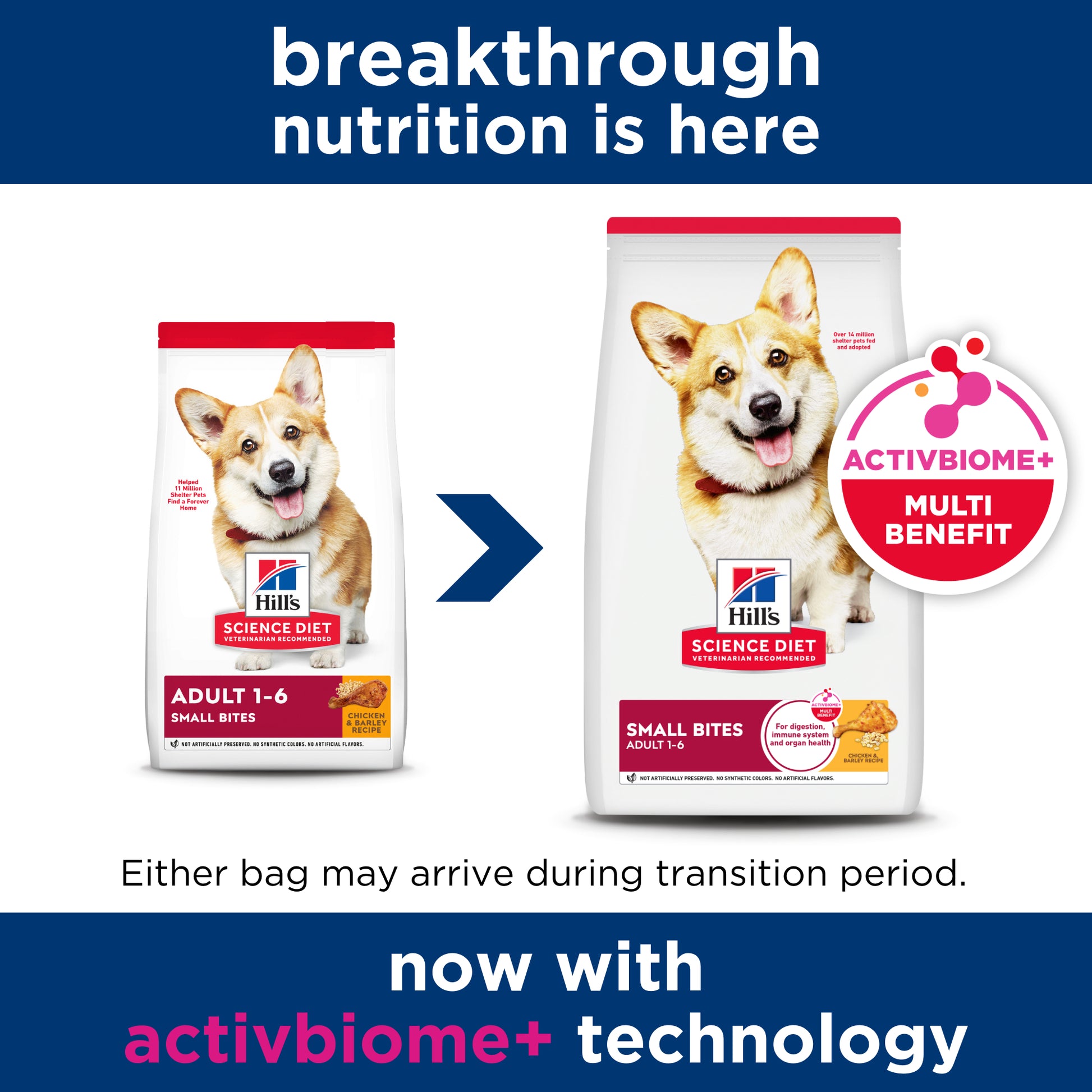 Science Diet Dog Adult Small Bites 6.8kg 