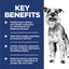 Science Diet Dog 7+ Small & Mini 1.5kg 