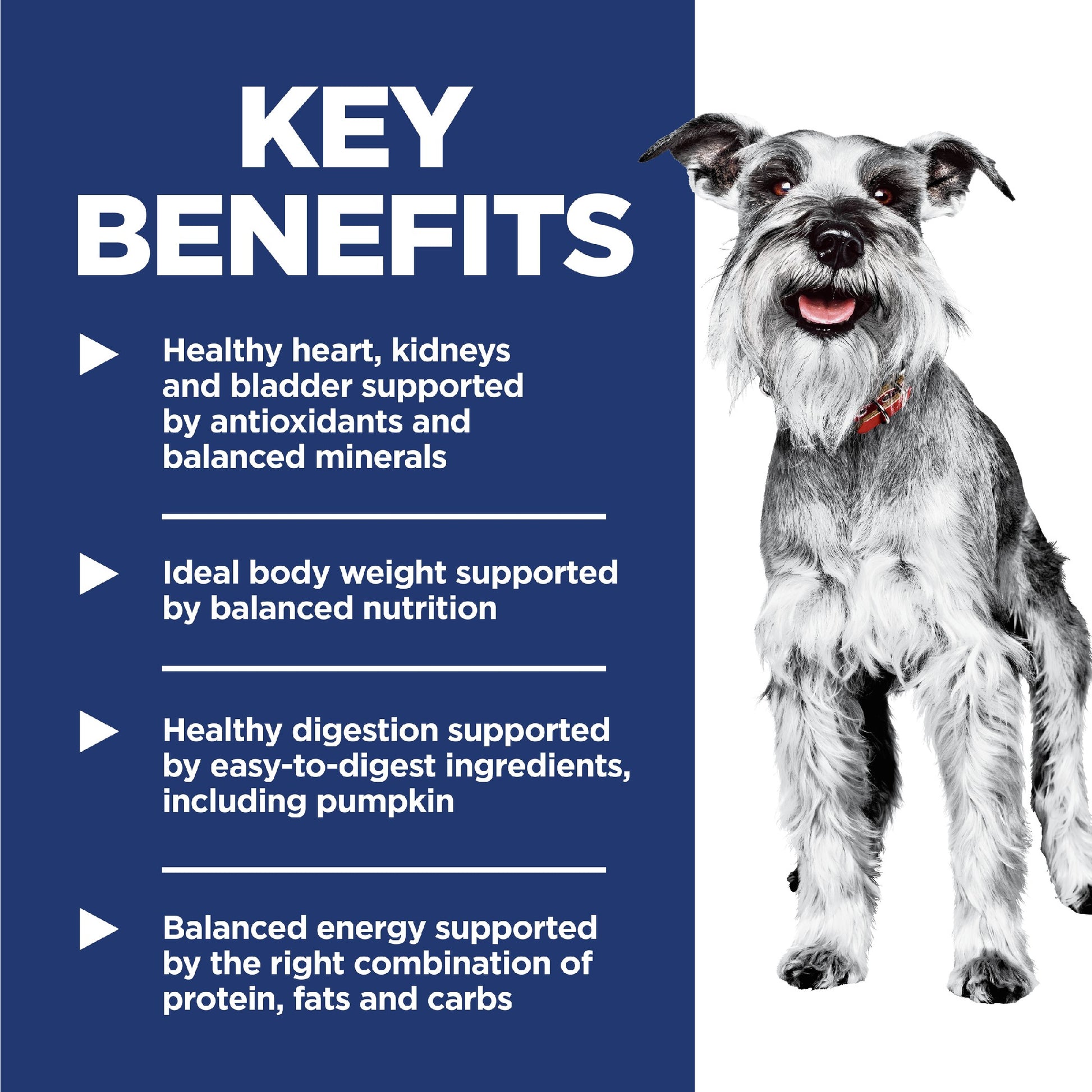 Science Diet Dog 7+ Small & Mini 1.5kg 