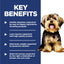 Science Diet Dog Adult Small & Mini 1.5kg 