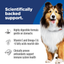 Science Diet Dog Sensitive Skin & Stomach 12KG