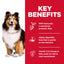 Science Diet Dog Sensitive Skin & Stomach 12KG