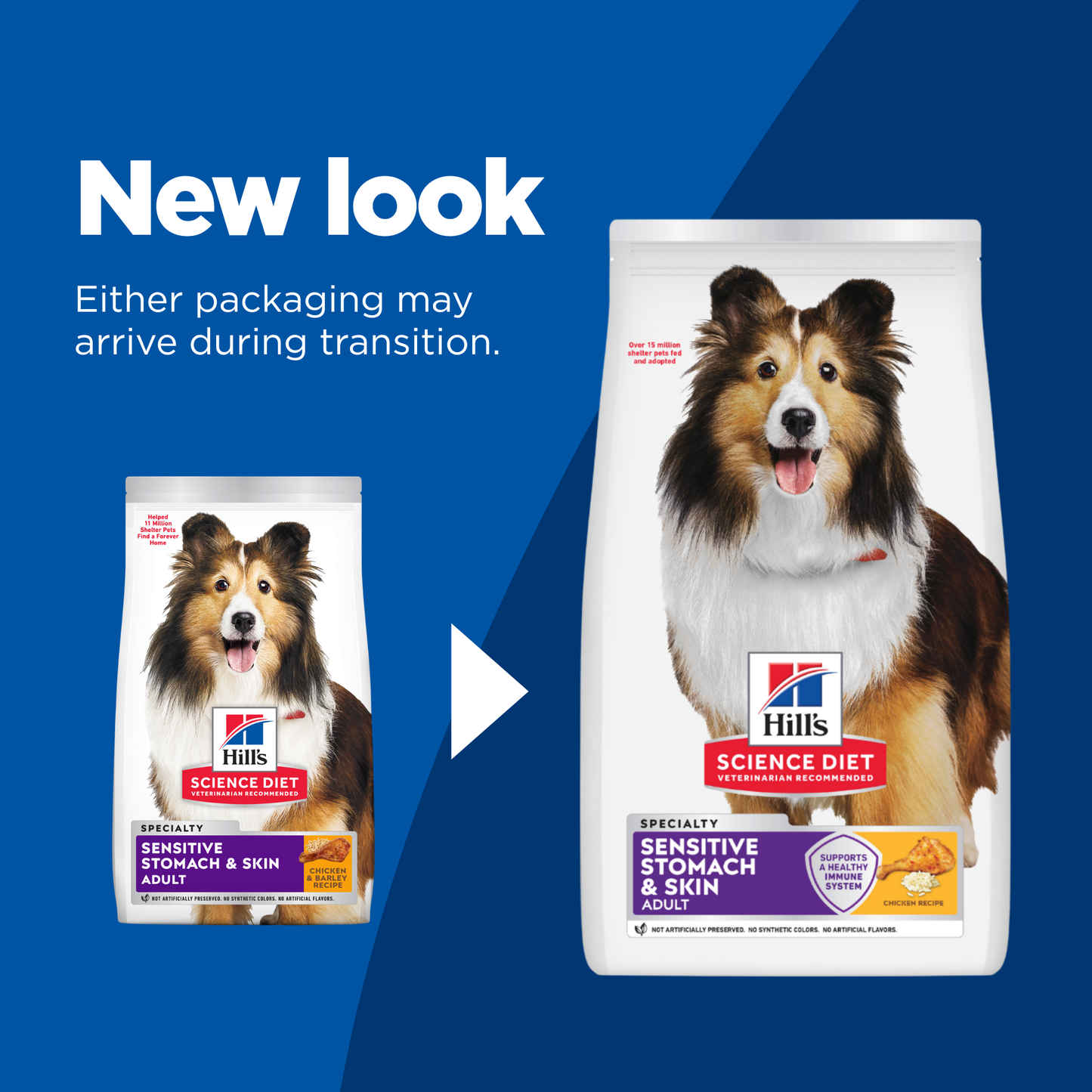 Science Diet Dog Sensitive Skin & Stomach 12KG