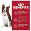 Science Diet Dog Perfect Digestion Adult 9.98kg 