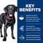 Science Diet Dog Large Breed Perfect Weight & Joint Support 11.34kg