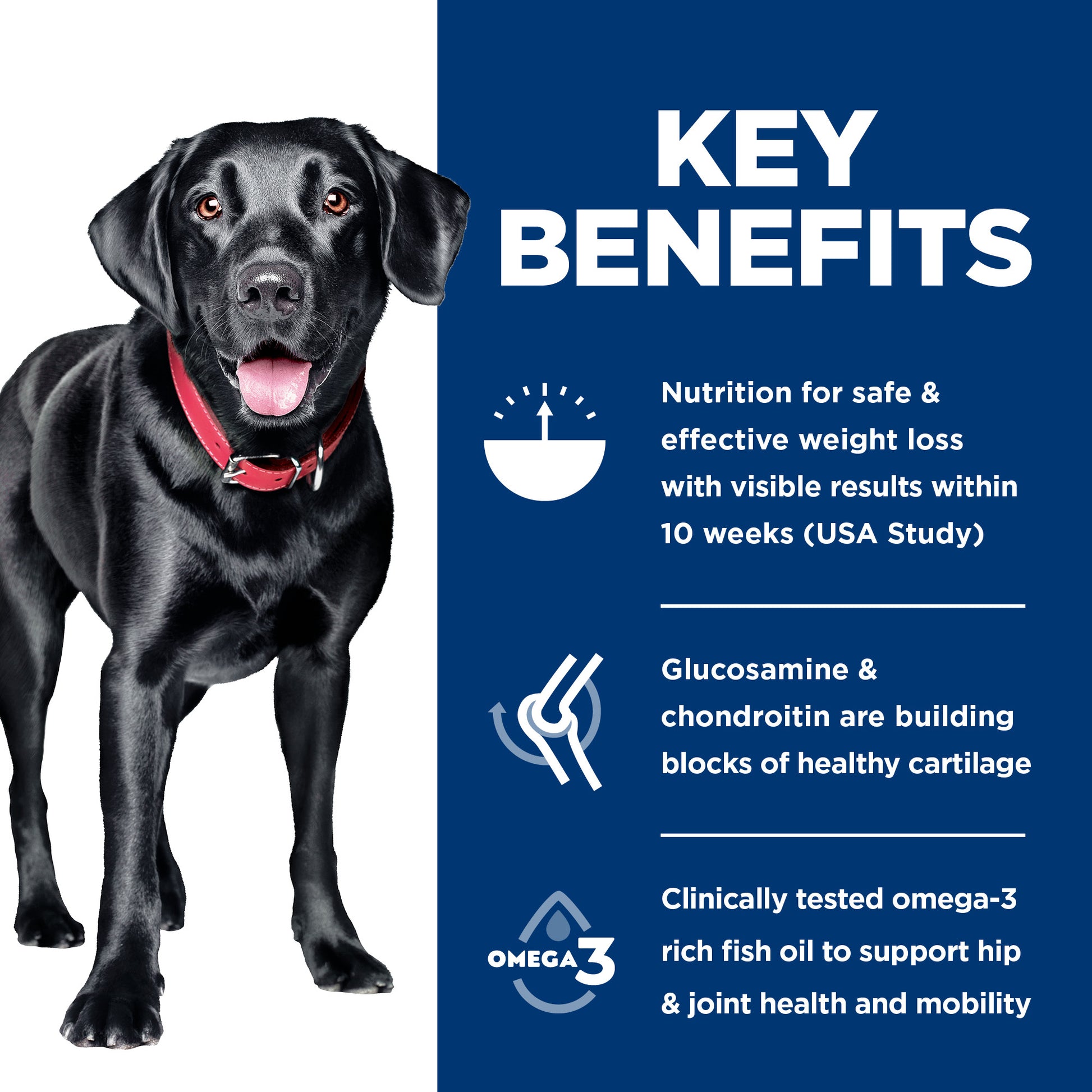 Science Diet Dog Large Breed Perfect Weight & Joint Support 11.34kg