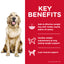 Science Diet Dog Perfect Weight 363g Can