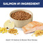 Science Diet Cat Adult Salmon 2.94Kg