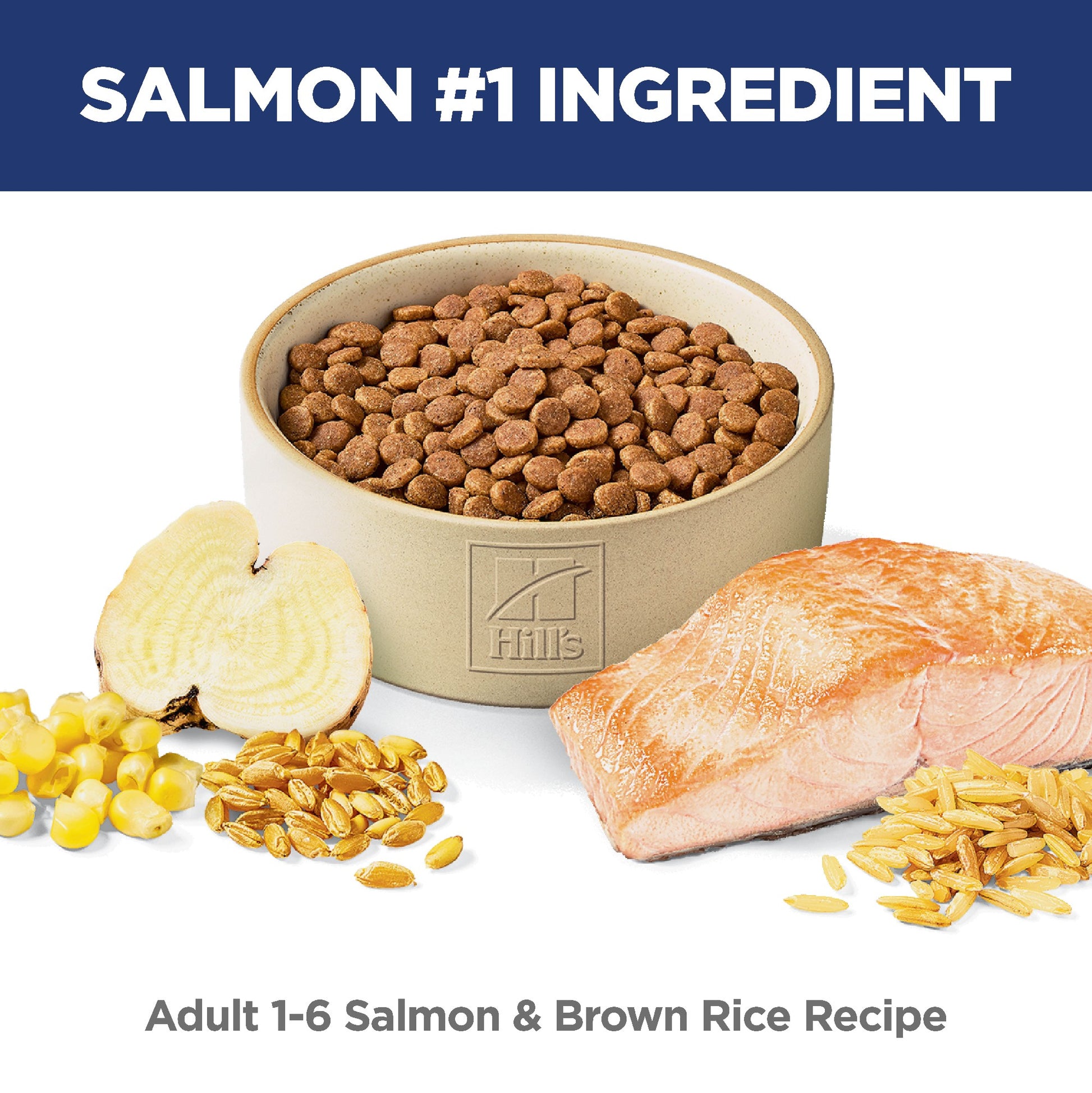 Science Diet Cat Adult Salmon 2.94Kg
