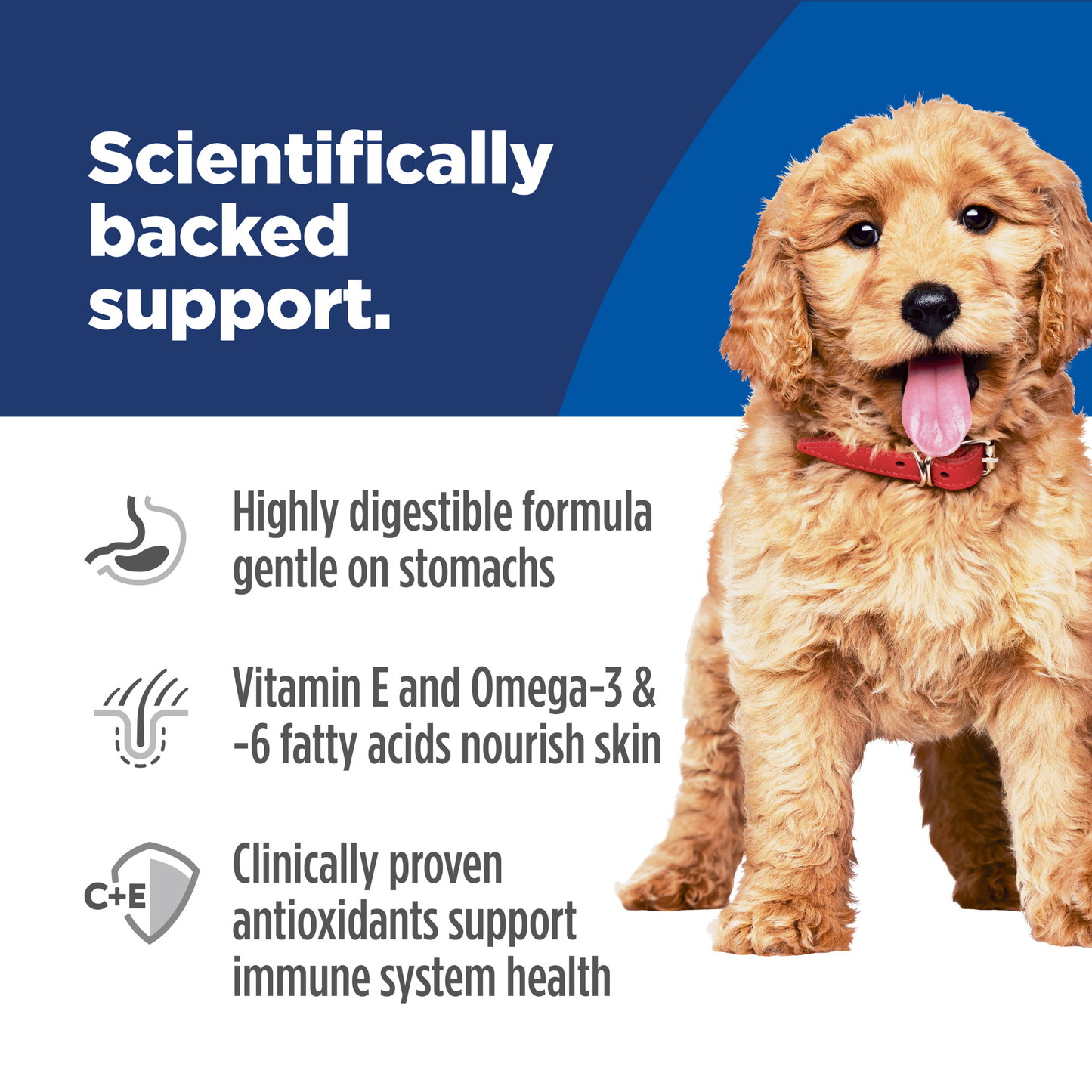 Science Diet Puppy Sensitive Skin and Stomach 1.81Kg