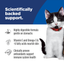 Science Diet Cat Kitten Sensitive Skin and Stomach 1.58Kg