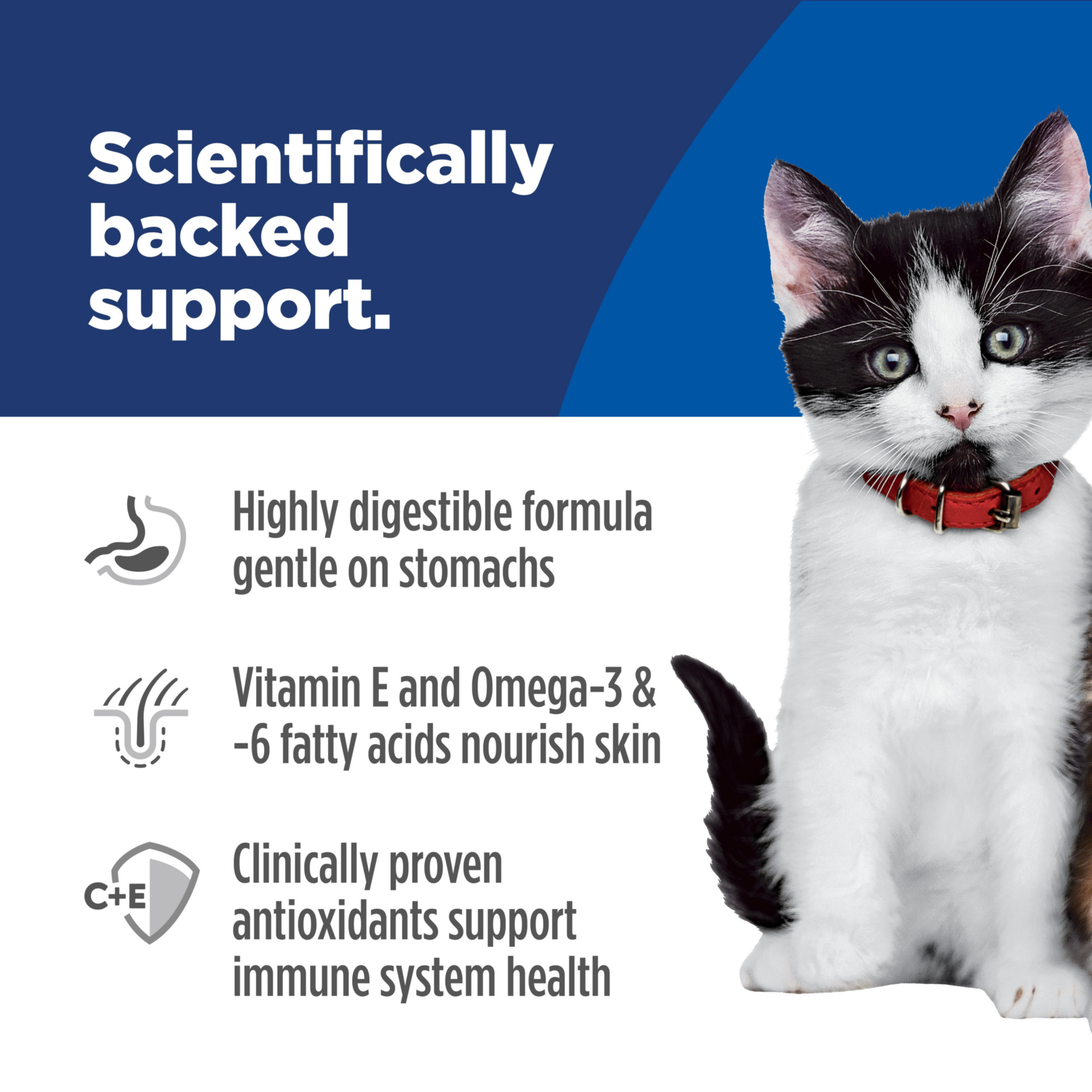Science Diet Cat Kitten Sensitive Skin and Stomach 1.58Kg