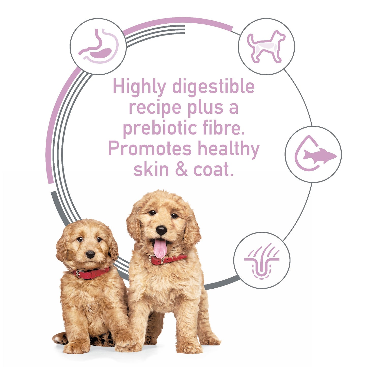 Science Diet Dog Puppy Sensitive Skin & Stomach 354g