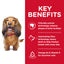 Science Diet Dog Oral Care  2kg