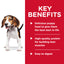 Science Diet Dog Puppy Savour Stew Chicken Can 363g