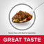 Science Diet Dog Adult Savoury Stew Beef 363g Can