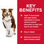 Science Diet Dog Mature Savoury Beef Stew 363G can