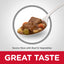 Science Diet Dog Mature Savoury Beef Stew 363G can
