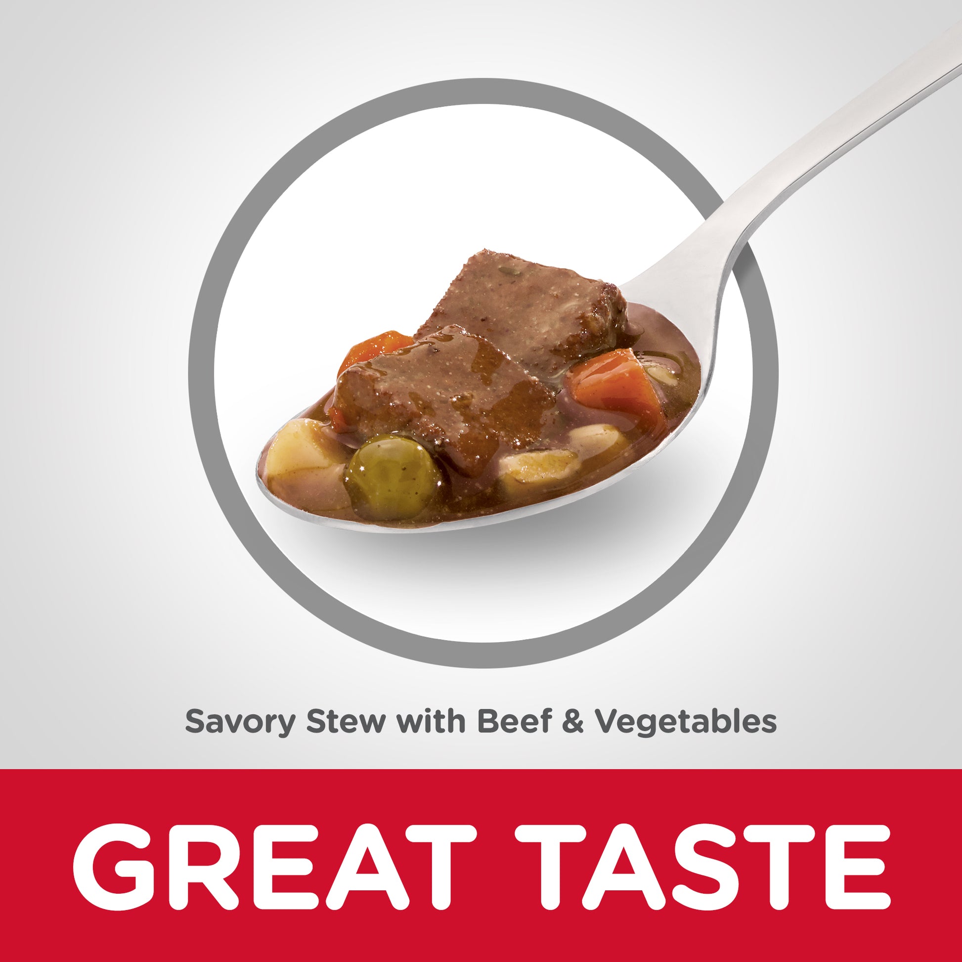 Science Diet Dog Mature Savoury Beef Stew 363G can