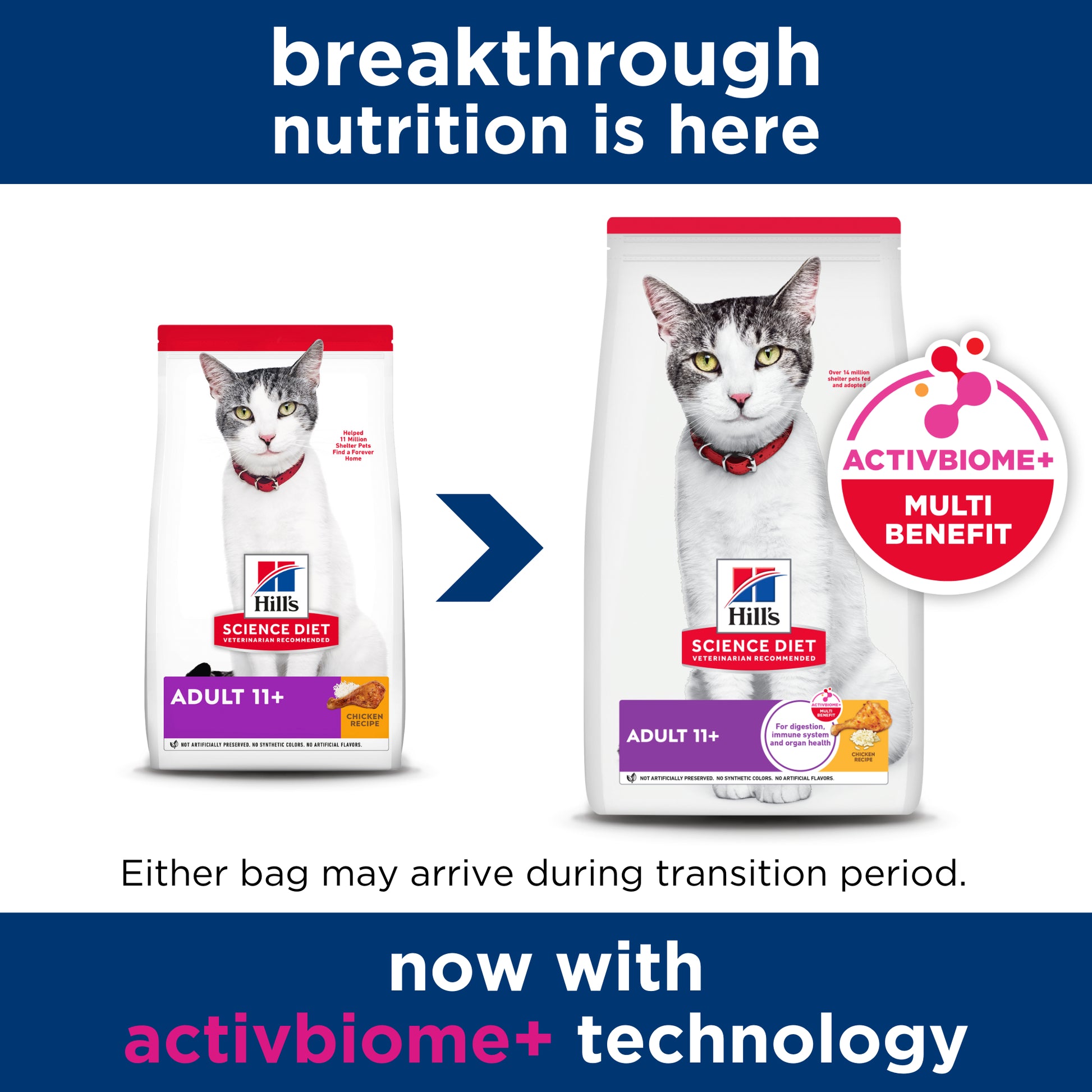 Science Diet Cat Adult 11+ 1.5kg