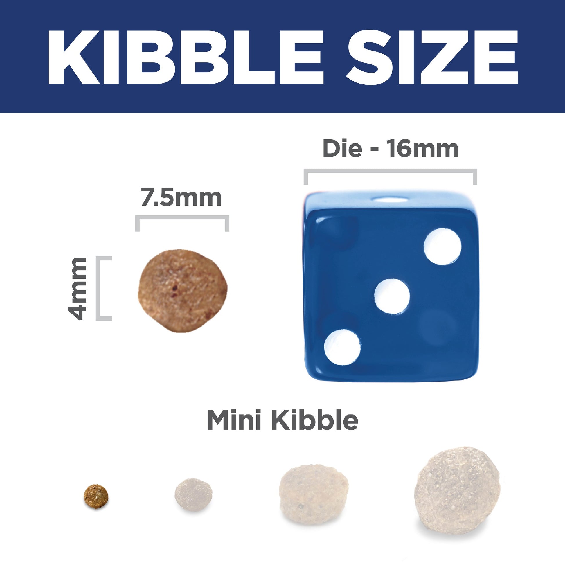 Science Diet Dog Adult 11+ Small & Mini 2.04kg