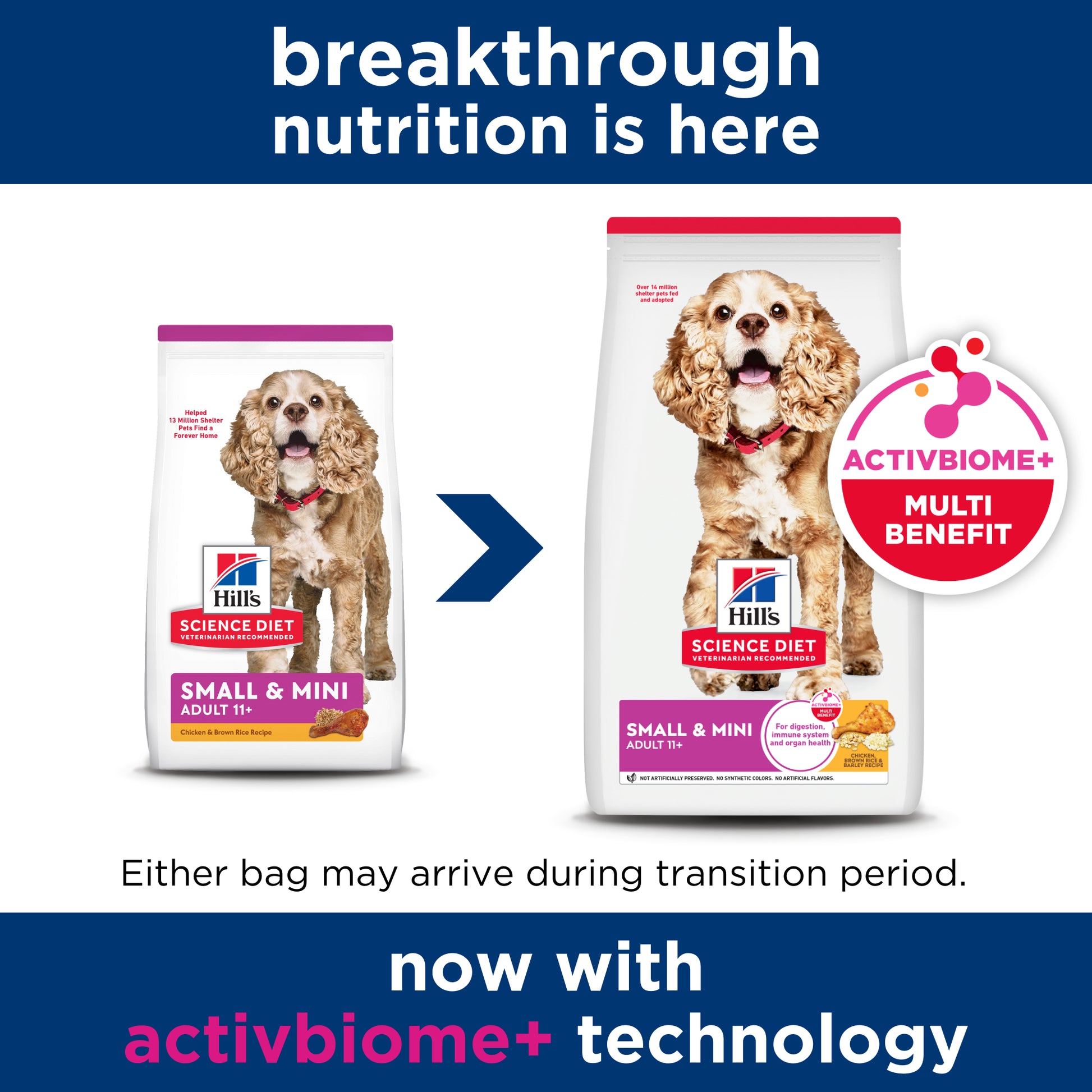 Science Diet Dog Adult 11+ Small & Mini 2.04kg