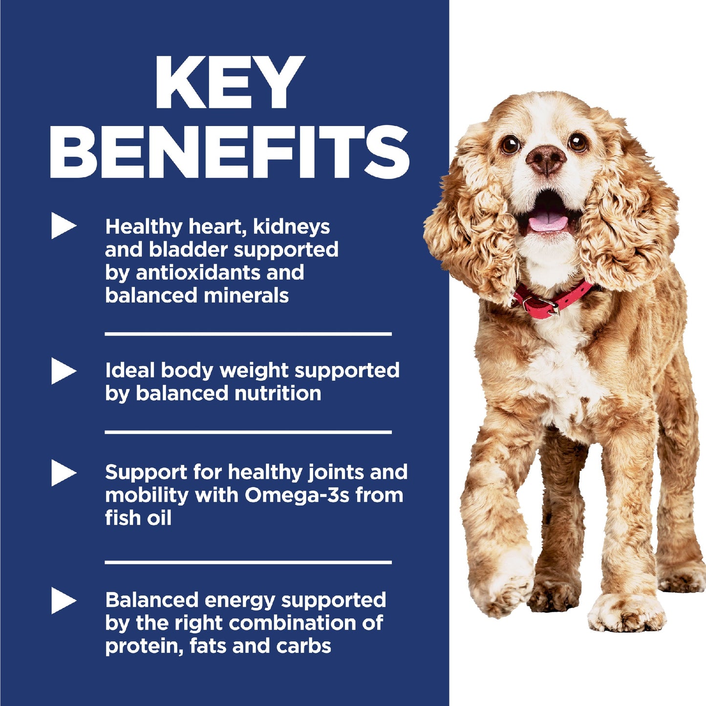 Science Diet Dog Adult 11+ Small & Mini 2.04kg