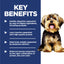 Science Diet Dog Adult Small & Mini Lamb 2.04kg