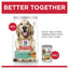 Science Diet Dog Perfect Weight 1.8kg