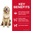 Science Diet Dog Perfect Weight 1.8kg