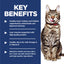 Science Diet Cat Indoor 7+ 1.58kg
