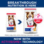 Science Diet Dog Adult 7+ 3kg