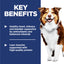 Science Diet Dog Adult 7+ 3kg