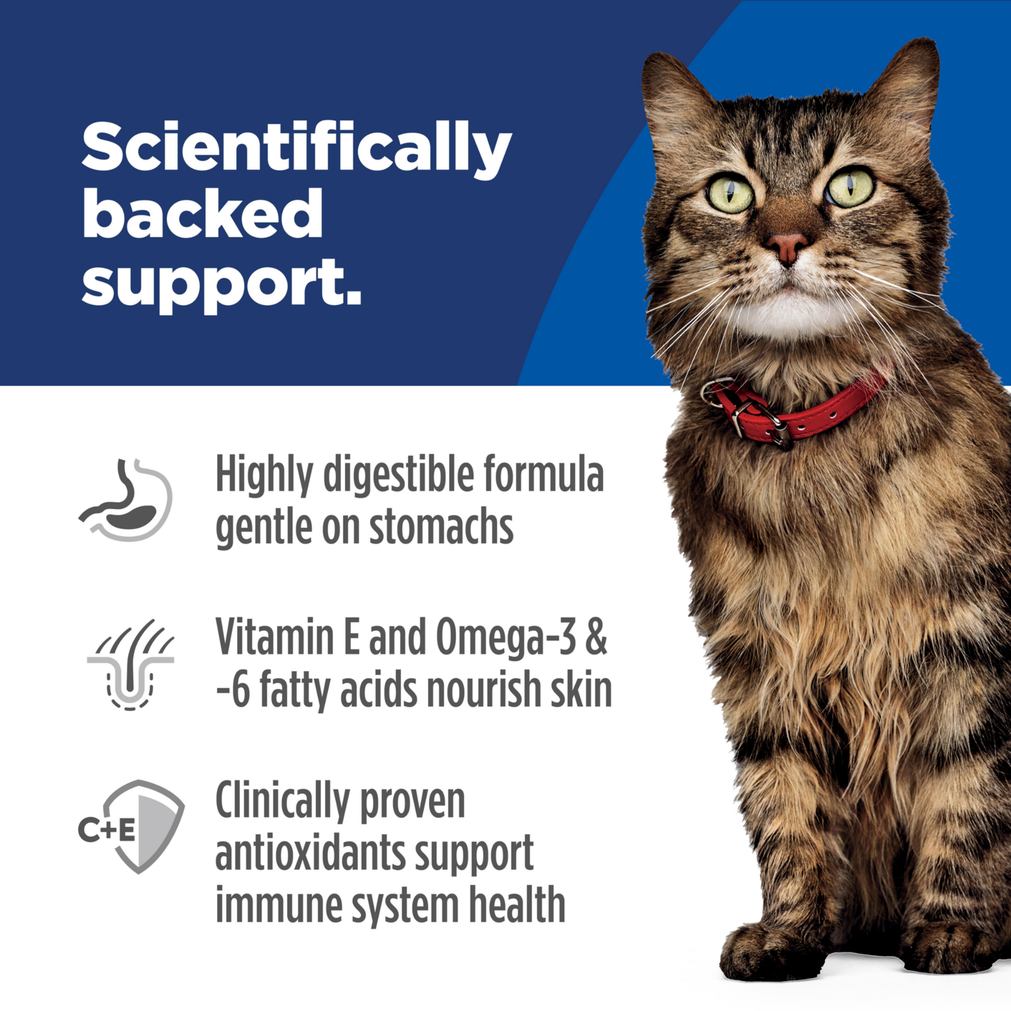 Science Diet Cat Sensitive Skin & Stomach 3.17kg