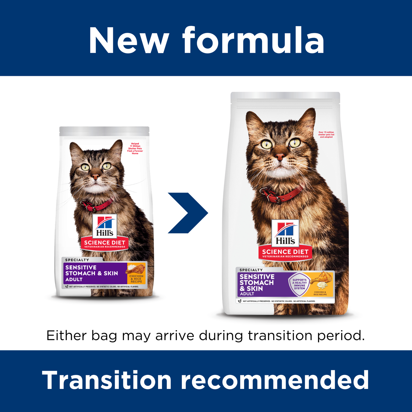 Science Diet Cat Sensitive Skin & Stomach 3.17kg