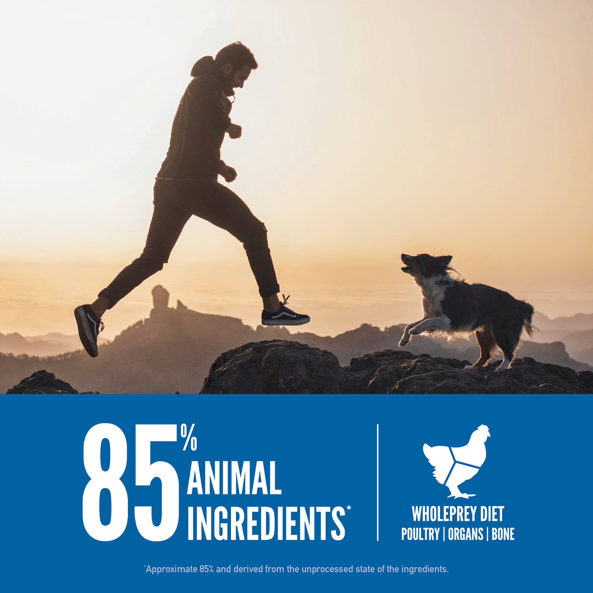 Orijen Dog Original 2kg