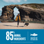 Orijen Dog Six Fish 2kg