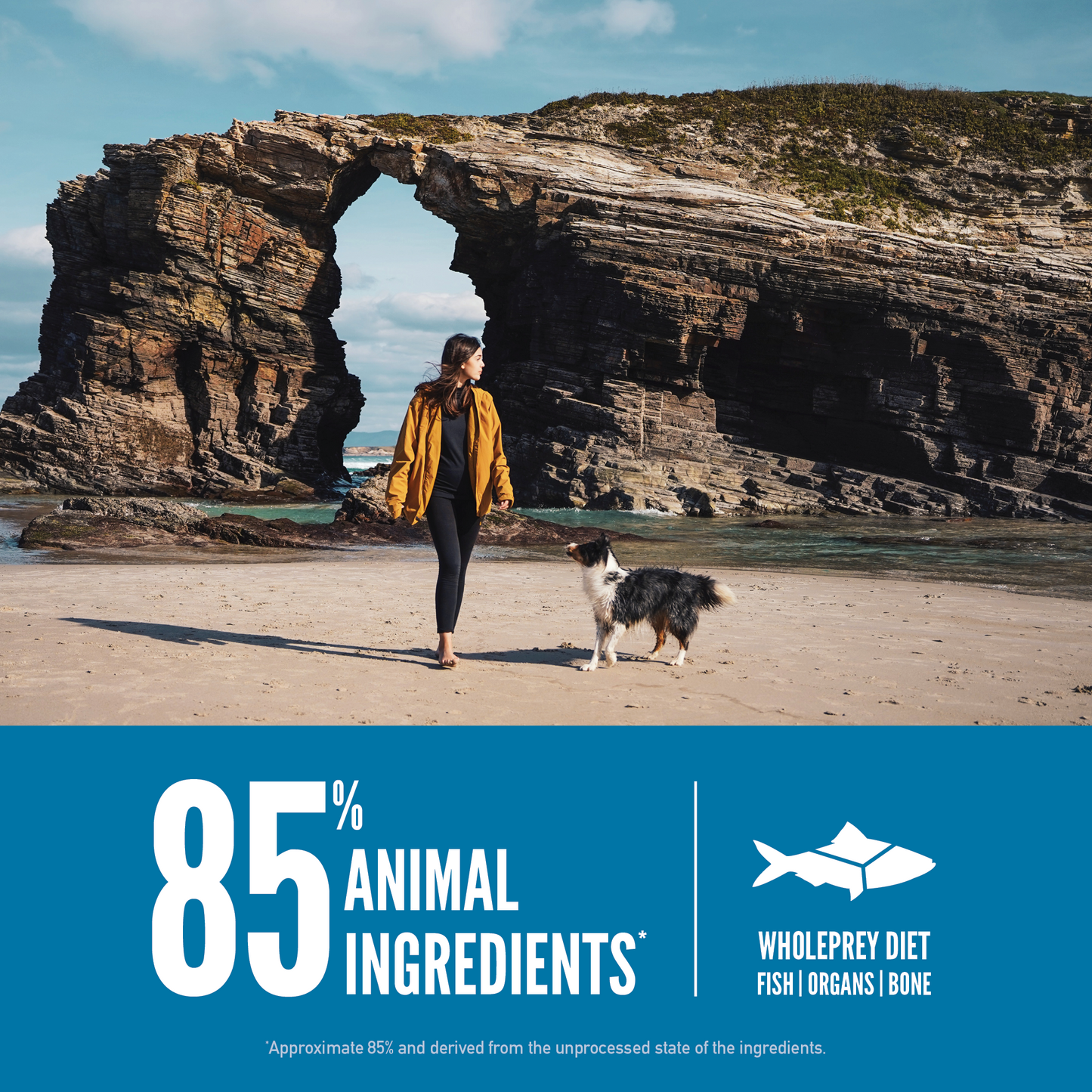 Orijen Dog Six Fish 2kg