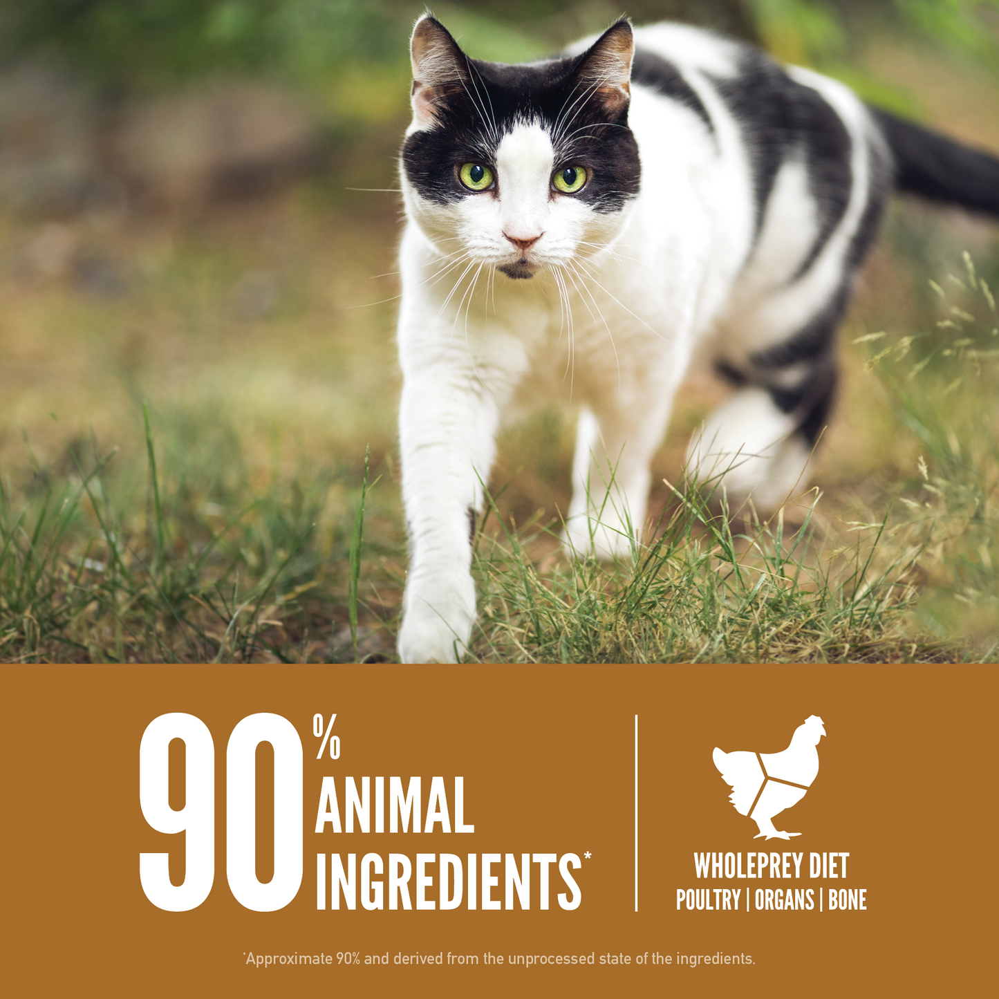 Orijen Cat Original 1.8kg
