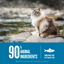 Orijen Cat Six Fish 1.8kg