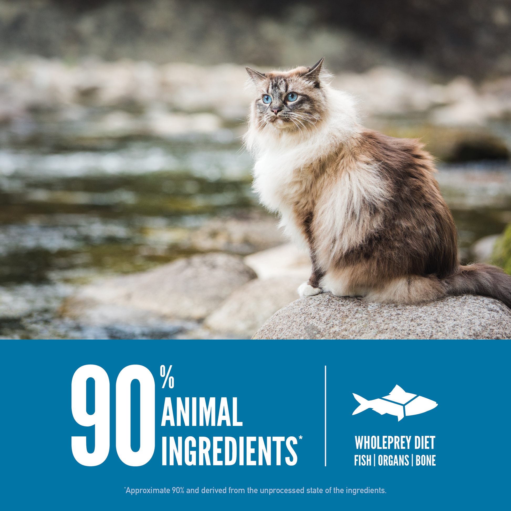 Orijen Cat Six Fish 1.8kg