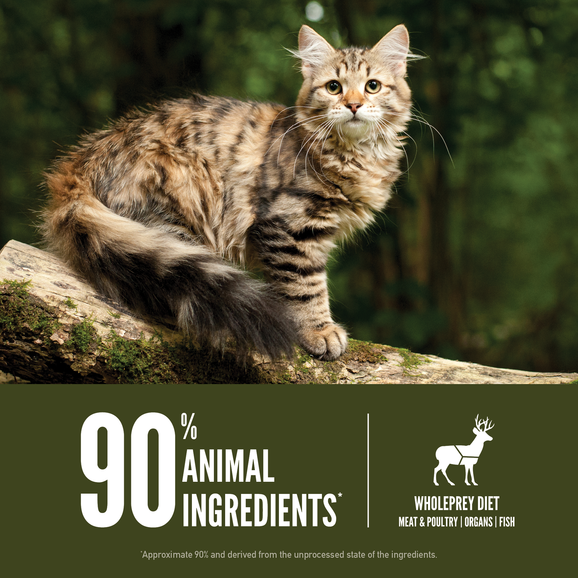 Orijen Cat Tundra 1.8kg